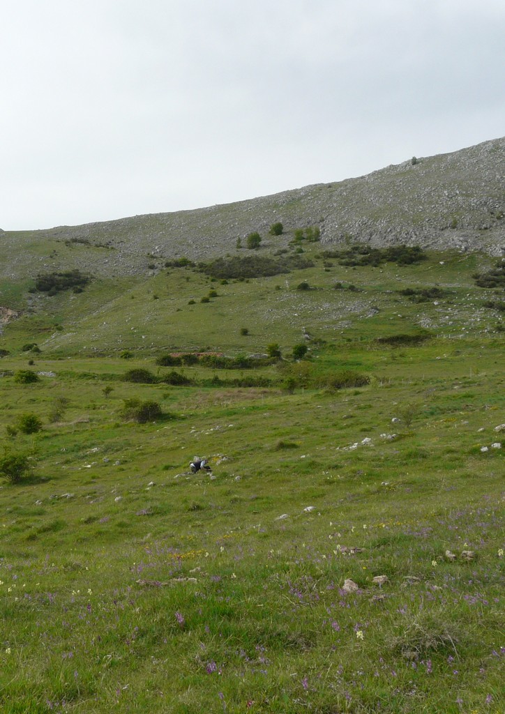 La Valle delle orchidee, Sassano e Monte San Giacomo 9 e 10 maggio 2015